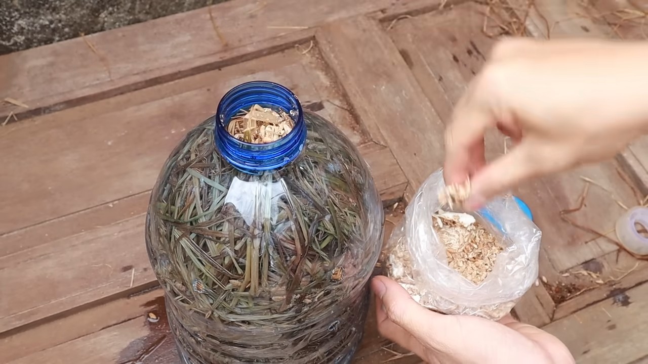 Plastic Bottle Mushroom Growing