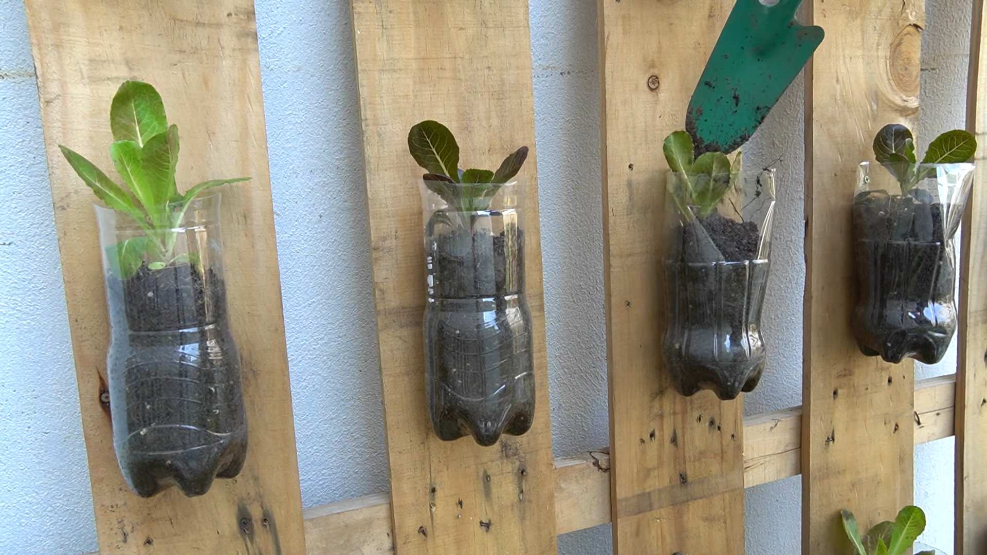 Trash Garden DIY