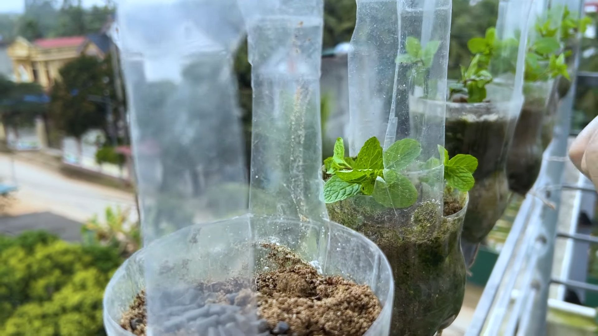 Balcony Mint Planter DIY