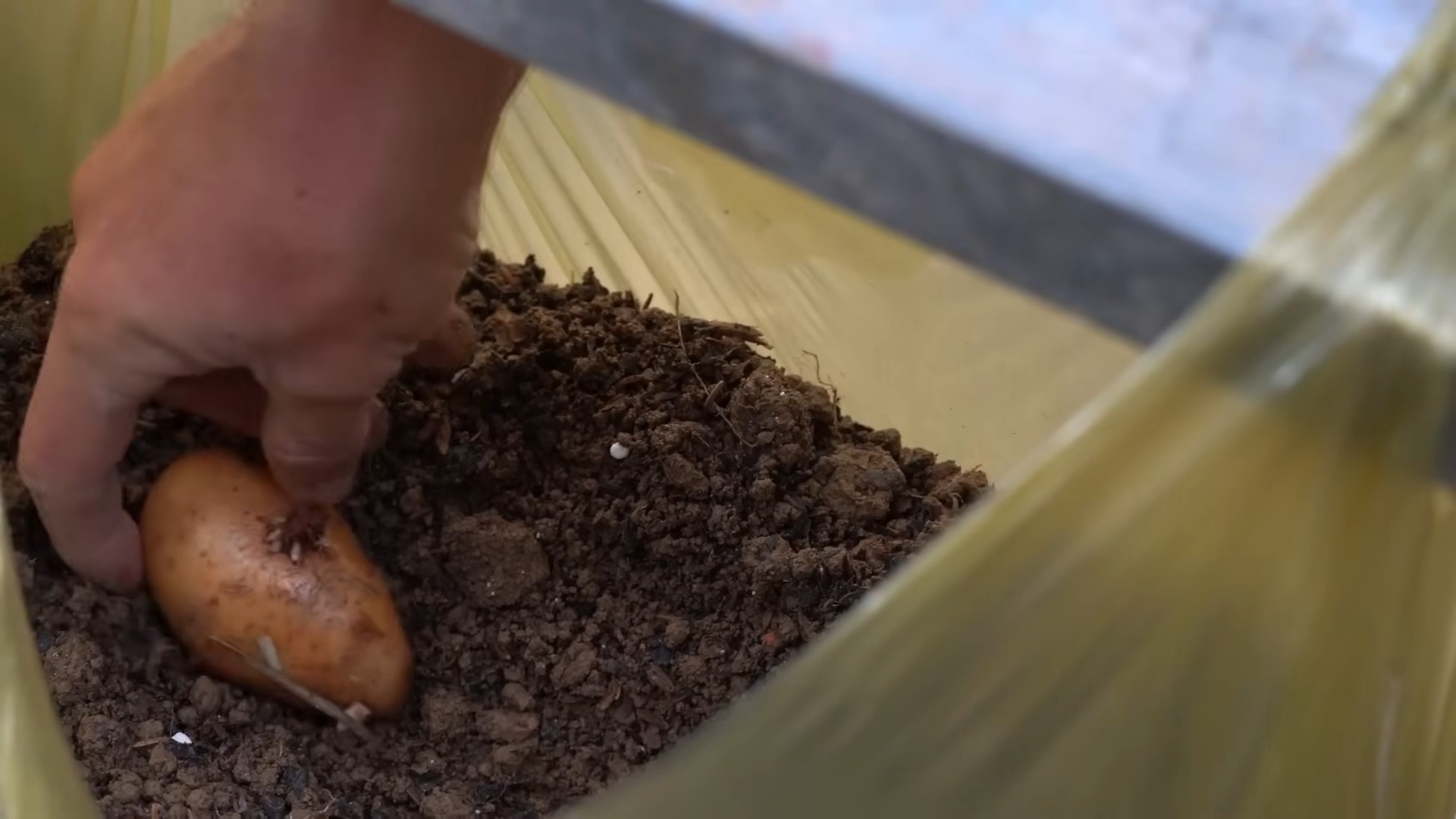 Potato gardening bags