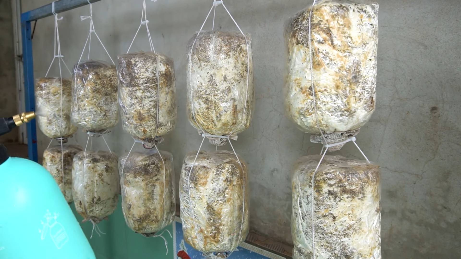 Indoor mushroom cultivation
